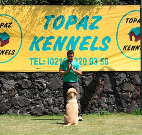 Topaz Kennels Dog House